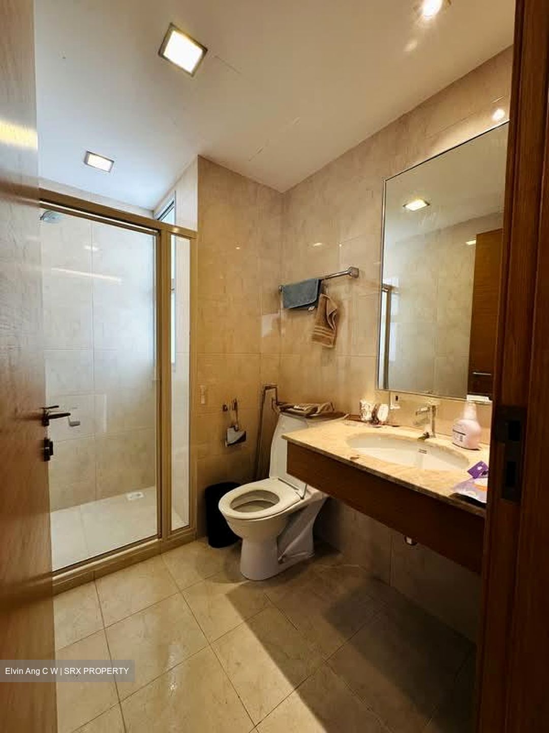 The Lakeshore (D22), Condominium #535633771